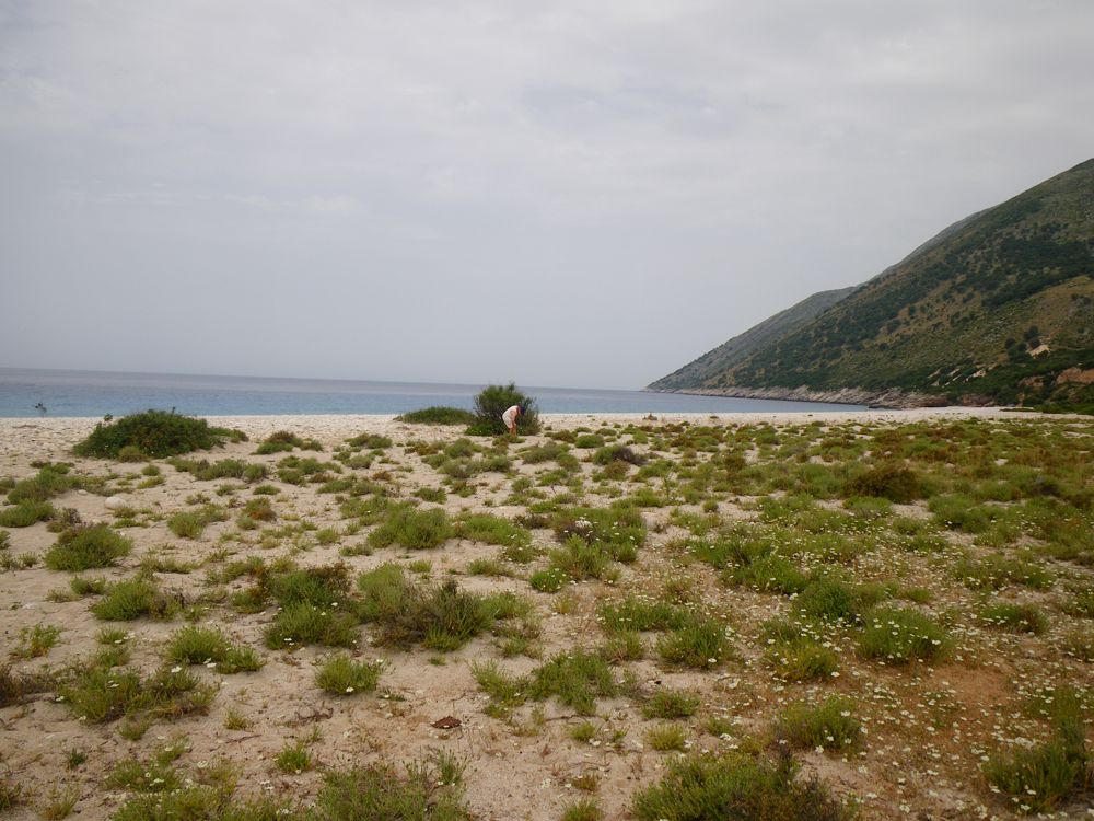 Albanie 2010 - 132 Plage de Palase