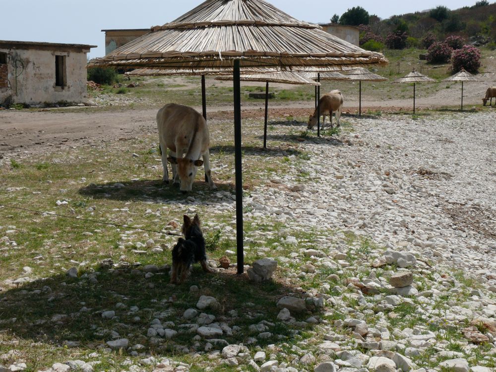 Albanie 2010 - 152 Porto Palermo Plage 