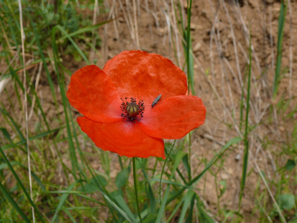 vendredi 6 mai 2011 10:00