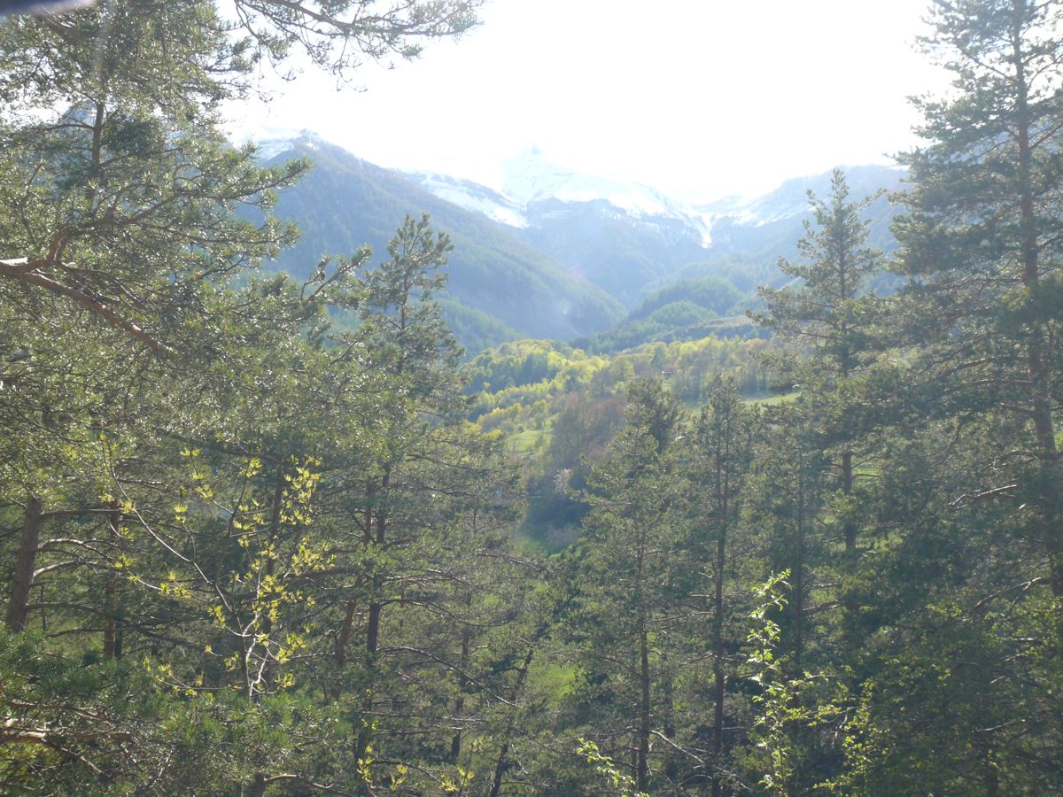 samedi 30 avril 2011 16:31