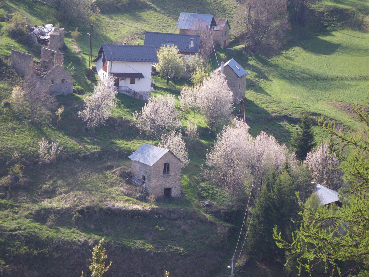 mardi 3 mai 2011 08:26
