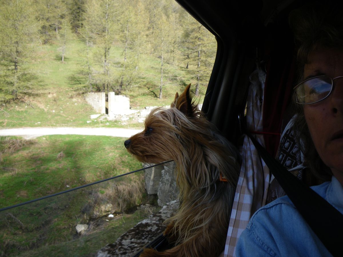 mercredi 4 mai 2011 08:32