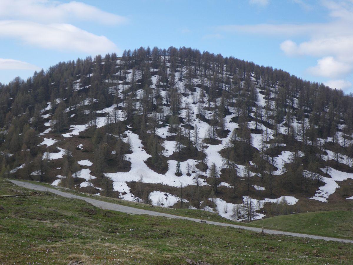 mercredi 4 mai 2011 08:42