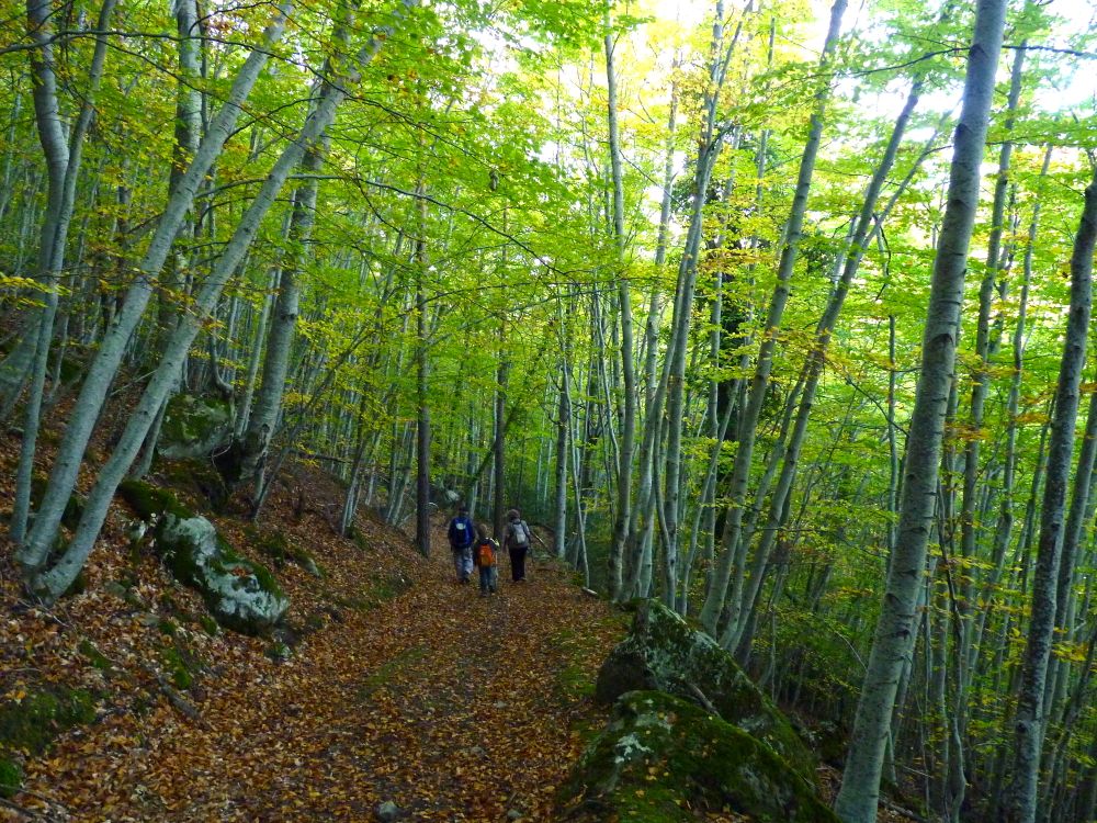 Col du Fa Octobre - 34
