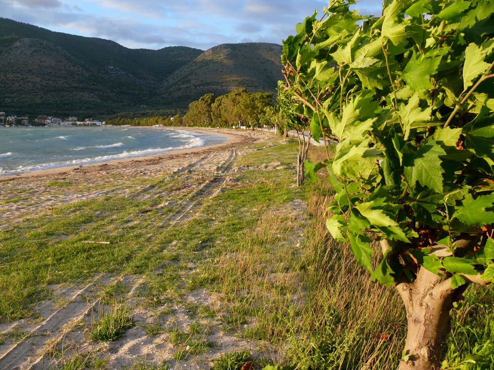  - 160 - Plage de Plataria