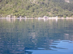 Turquie Sarsala dans la baie de Fethiye le 30 Avril 2010