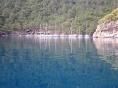 Turquie Sarsala dans la baie de Fethiye le 30 Avril 2010