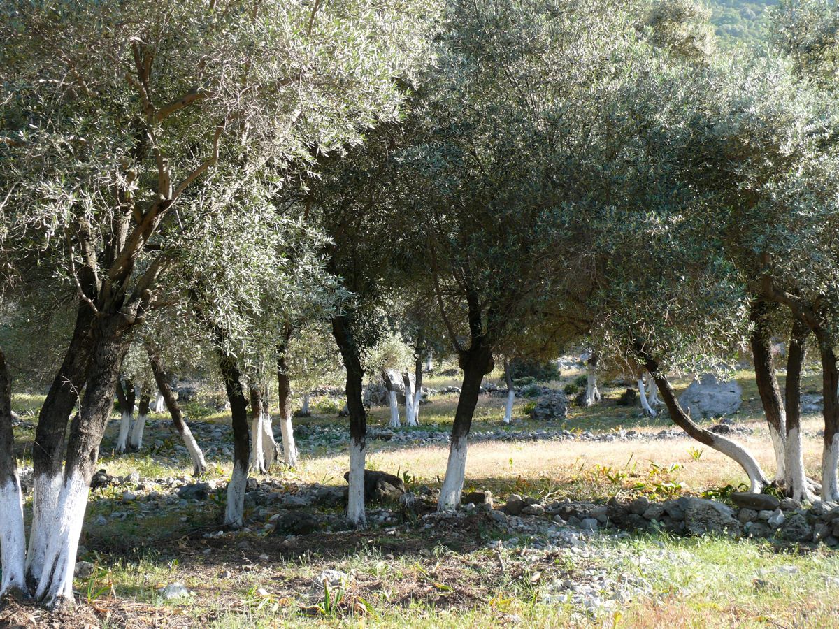 mercredi 28 avril 2010 15:27:26