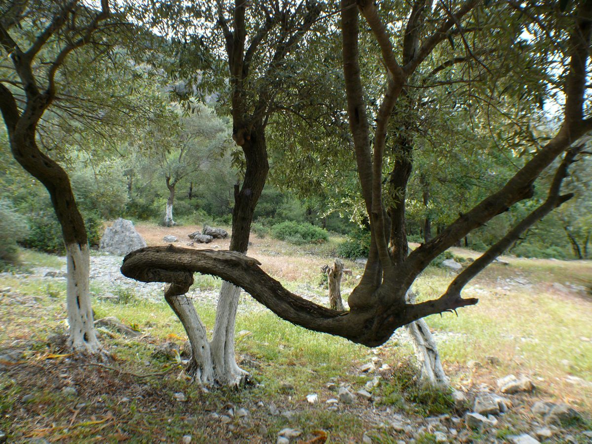 jeudi 29 avril 2010 15:20:59